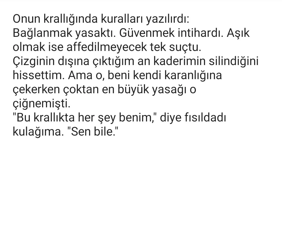 Hikaye açıklaması
